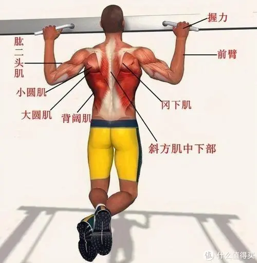 室内健身划船机